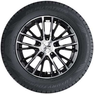 ReputationReputation, , hi-res