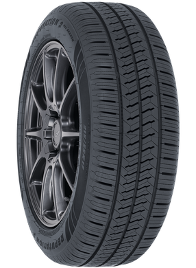 Reputation 2Reputation 2, , hi-res