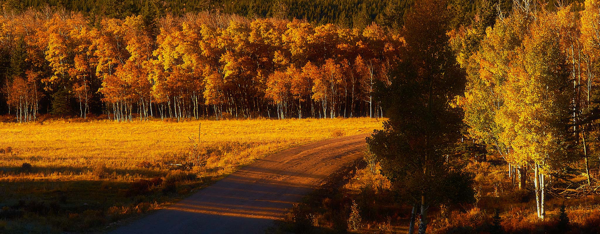 A photo of Buffalo Peaks taken by Ryan Fonkert.