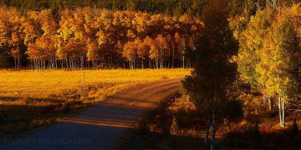 A photo of Buffalo Peaks taken by Ryan Fonkert.